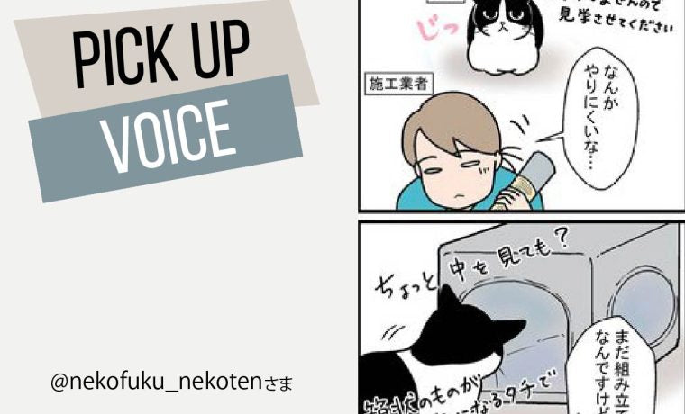 【PICK UP VOICE】猫の手は必要ないキャットタワー～＠nekofuku_nekotenさま～