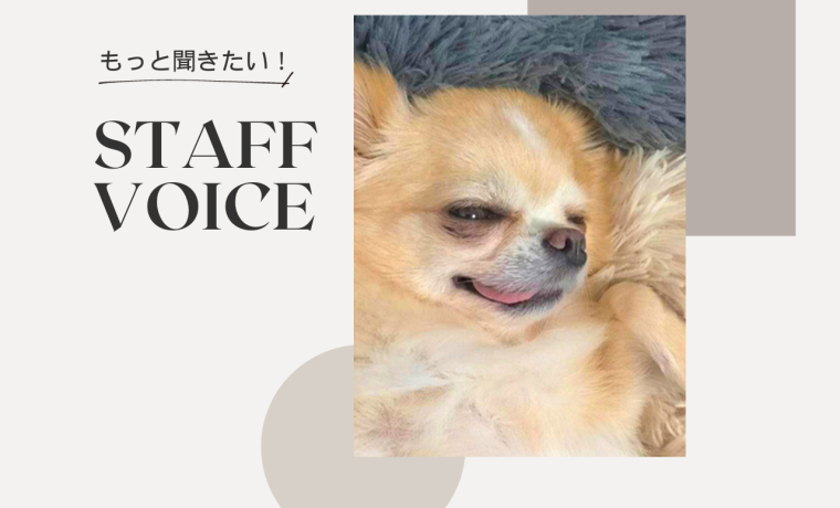 【STAFF VOICE】犬をダメにするベッド～AIFY丸長毛長ベッド～