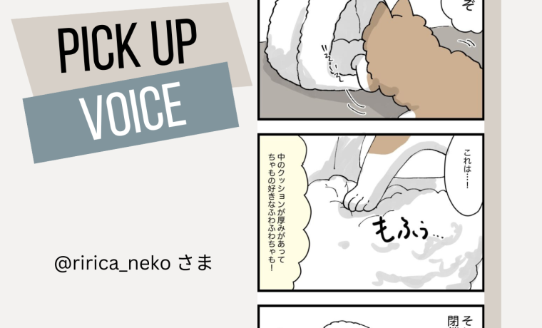 【PICK UP VOICE】程よい大きさと閉鎖的な空間の猫ハウス！～@ririca_nekoさん～