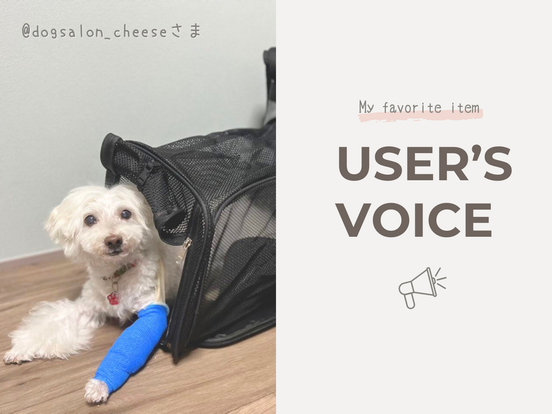 【USER'S VOICE】いつでも一緒なペットキャリーリュック〜@dogsalon_cheeseさま〜