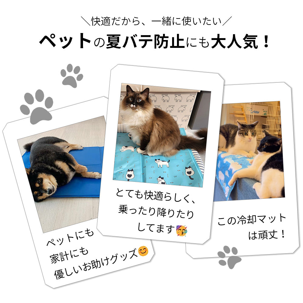 AIFY クールマット ブルー 足跡柄 クジラ柄 白くま柄 イルカ柄 フルーツ柄 キャット柄