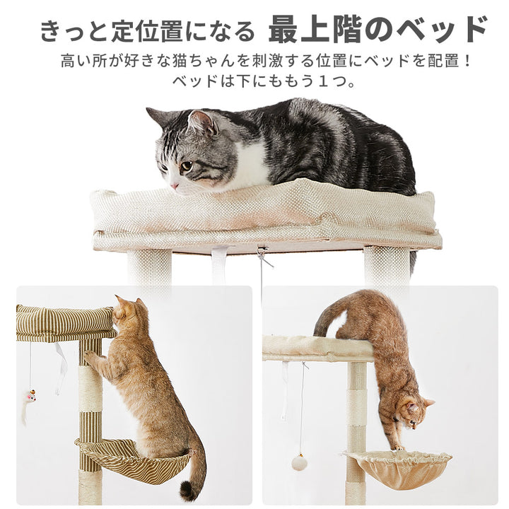 AIFY 10セット注文用 キャットタワー Aタイプ 据え置き W50×D40.5×H140スリム ベージュ グレー ブラウン アイボリー