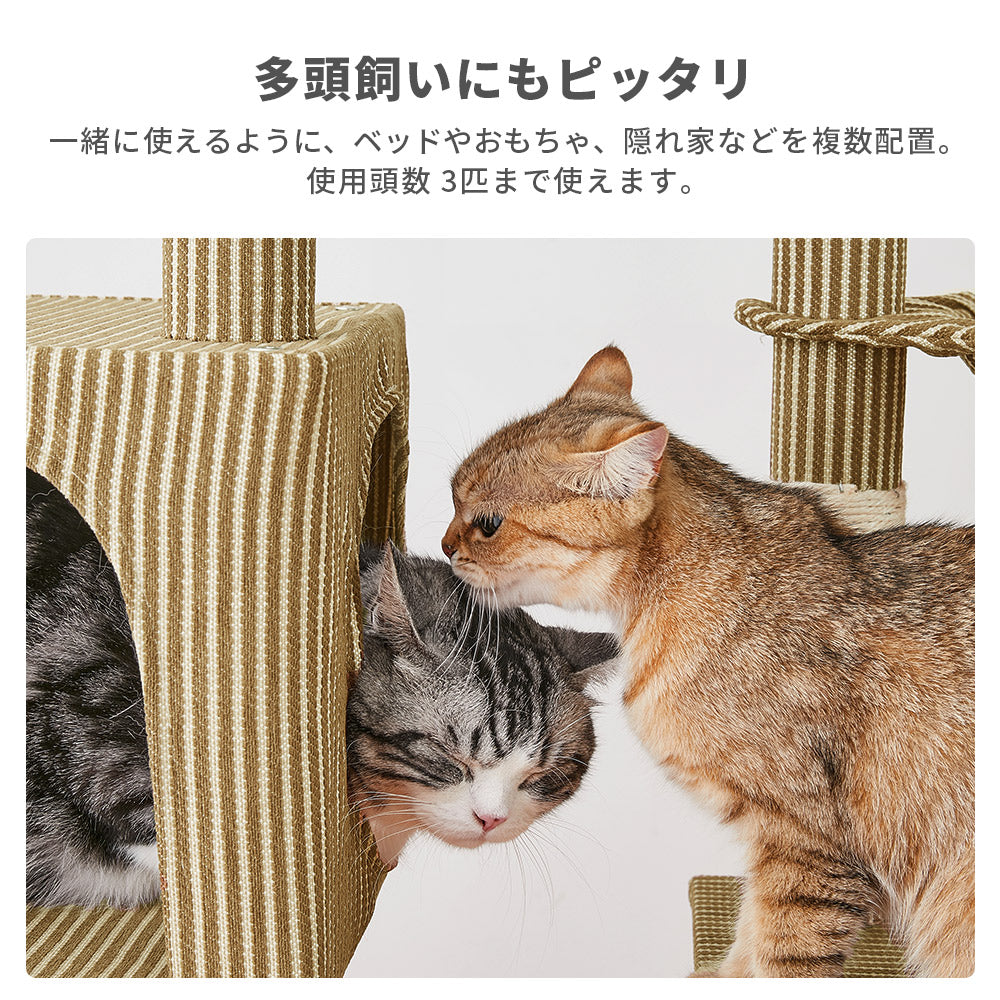 AIFY 10セット注文用 キャットタワー Aタイプ 据え置き W50×D40.5×H140スリム ベージュ グレー ブラウン アイボリー