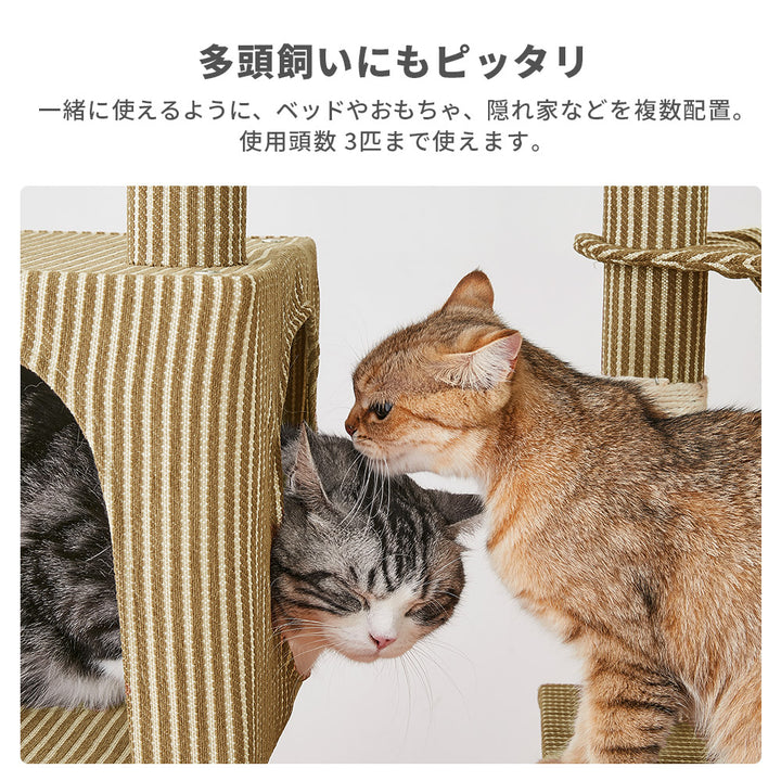 AIFY 10セット注文用 キャットタワー Aタイプ 据え置き W50×D40.5×H140スリム ベージュ グレー ブラウン アイボリー