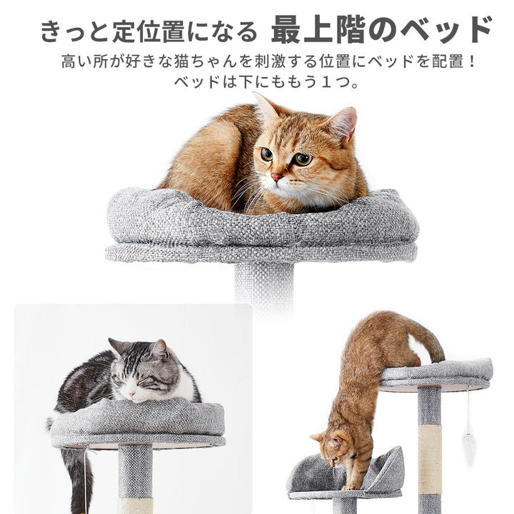 AIFY キャットタワー Bタイプ 据え置き 消臭 W53×D48×H167 スリム ベージュ グレー ストライプブラウン