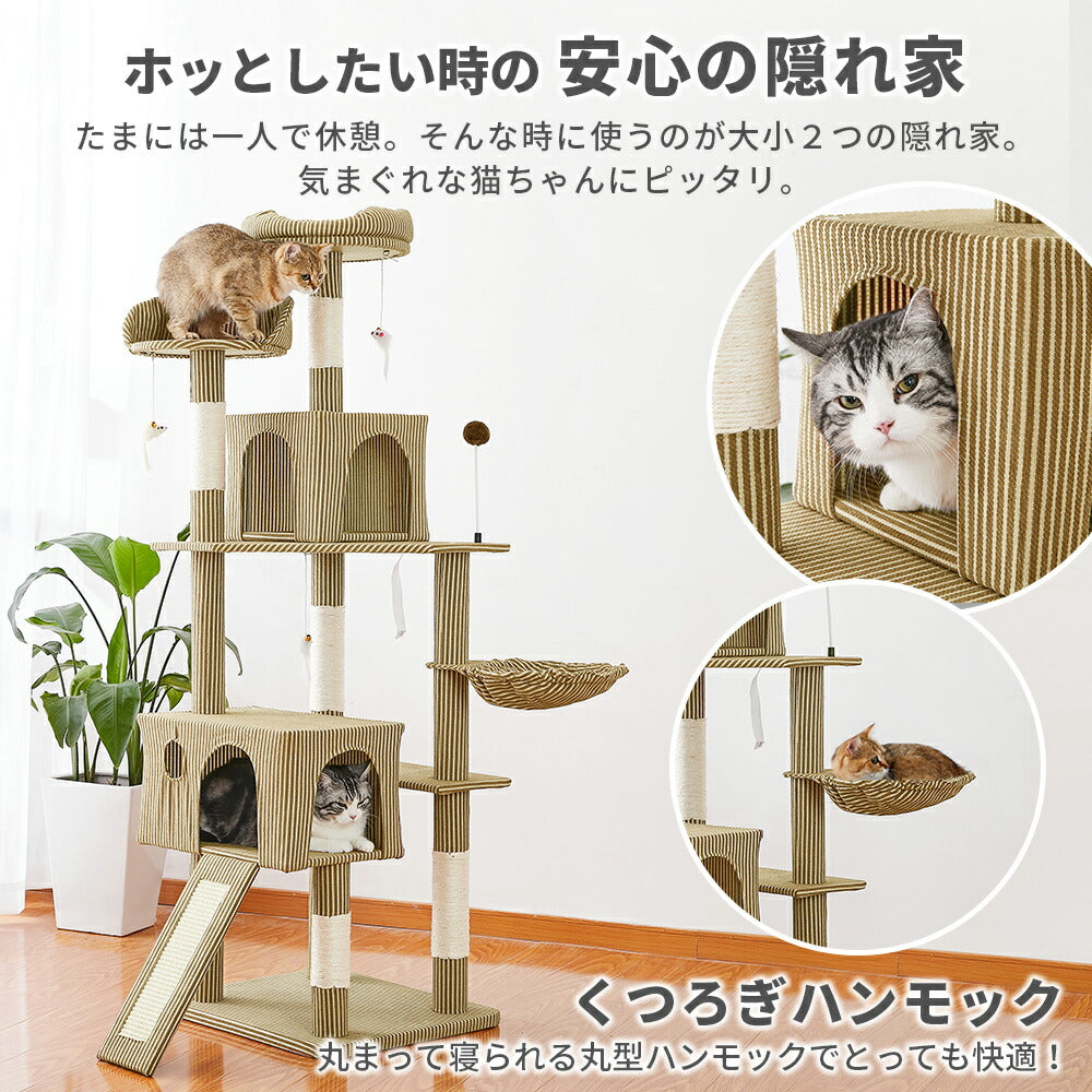 AIFY キャットタワー Bタイプ 据え置き 消臭 W53×D48×H167 スリム ベージュ グレー ストライプブラウン