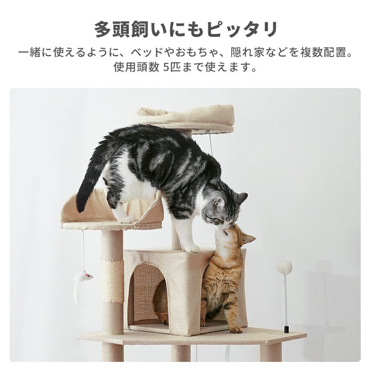 AIFY キャットタワー Bタイプ 据え置き 消臭 W53×D48×H167 スリム ベージュ グレー ストライプブラウン