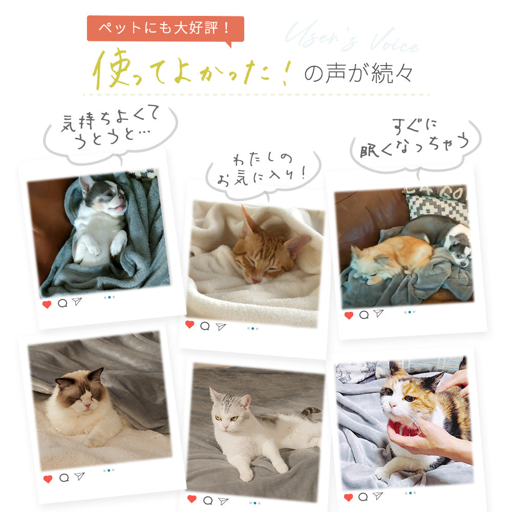 AIFY フランネル ひざ掛け 1枚／5枚 毛布 肩掛け 70×100cm  ベージュ グレー ブラウン他
