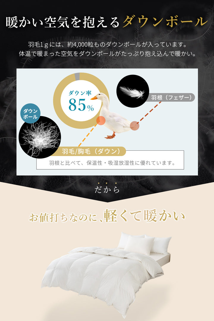 AIFY 超暖か 掛け布団 シングル セミダブル ダブル かけ布団 掛布団 冬 秋冬 客用 丸洗い 軽量 通年 ボリューム ボリューミー ふわふわ