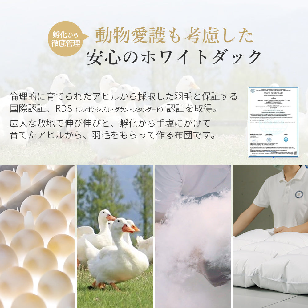AIFY 超暖か 掛け布団 シングル セミダブル ダブル かけ布団 掛布団 冬 秋冬 客用 丸洗い 軽量 通年 ボリューム ボリューミー ふわふわ