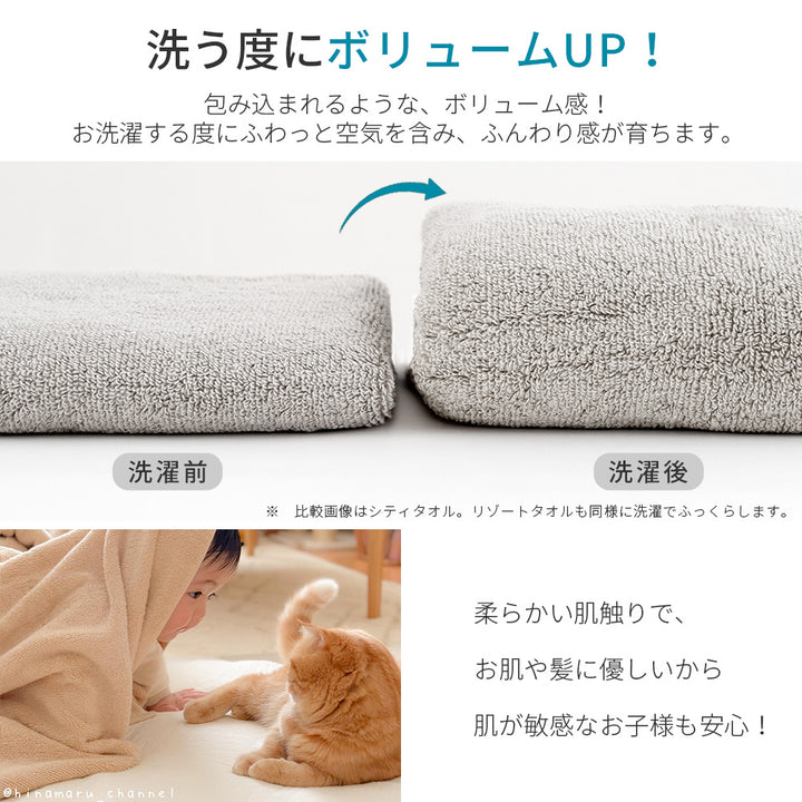 AIFY バスタオル BIG シティ リゾート 70cm×140cm 2枚